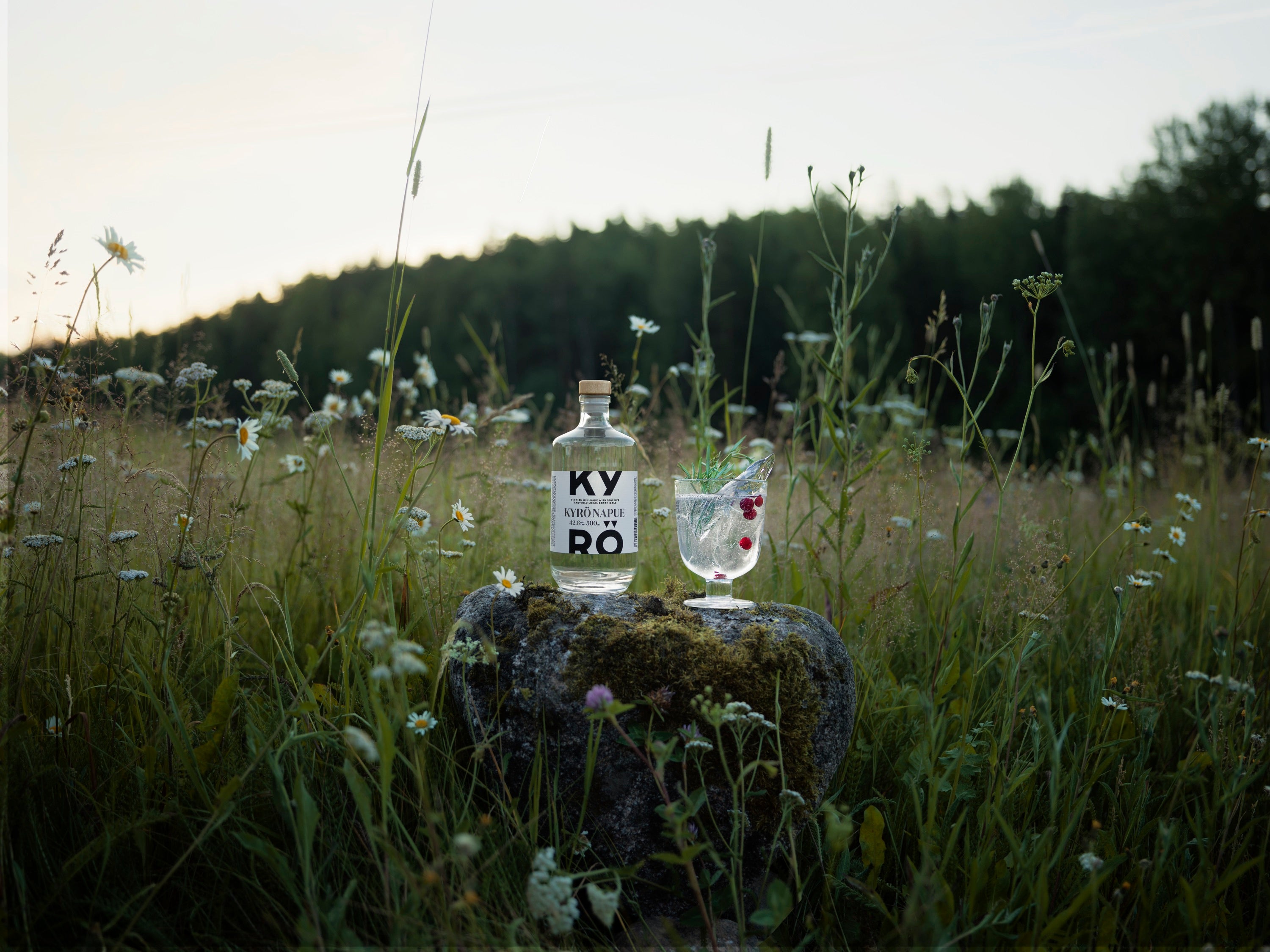 Kyrö Napue Gin | Kyrö Distillery Company